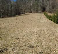 Recreational plots near Kľak with grassy areas and coniferous trees on the edge of the forest.