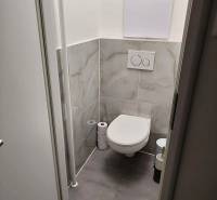 A toilet with tiles and a wall-hung toilet in a 2-room apartment.
