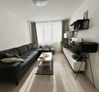 Living room with a sofa, television, and wooden decor flooring in a 2-room apartment.