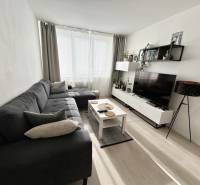 Living room in a two-room apartment with a wooden decor floor and a sofa.