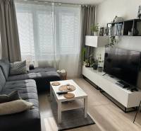 Living room in a two-room apartment with a sofa and a table, floors with wooden decor.