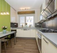A kitchen in a 2-room apartment with a wood-patterned floor and a green wall.