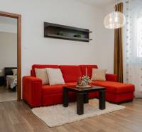 Red sofa and table in the living room, wooden decor flooring, 2-room apartment.
