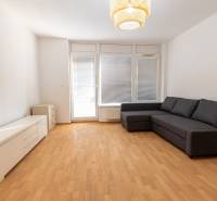 Living room in a two-room apartment with a sofa, cabinet, and floor with a wooden decor.