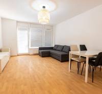 Living room in a two-room apartment with a wooden decor floor and a gray sofa.