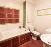 Bathroom with a bathtub, toilet, and washing machine in a 2-room apartment. Tiles with a rose motif.