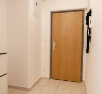 Entrance hall with wooden door, white wall, and cabinet in a 2-room apartment.