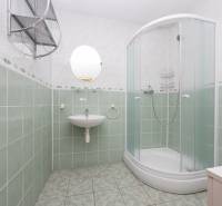 A bathroom in a family house with a curved shower, a sink, and green tiles.