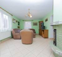 Living room in a family house with a fireplace, green walls, and a leather sofa.