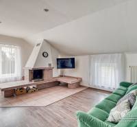 Living room with a fireplace, green sofa, and wood-patterned flooring in a family house.