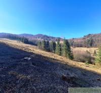 Beautiful natural scenery of agricultural and forest lands in Hronec with trees and meadows.