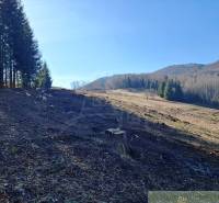 Agricultural and forest lands in Hronec, bordered by a row of trees and hills.
