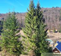 Agricultural and forest lands in Hronec, forests and rooftops of houses.
