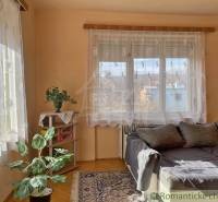 A room in a family house with a sofa, a plant, a carpet, and a bookshelf with books.