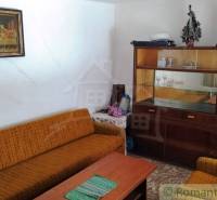 Living room in a family house with retro furniture and historical decorations.