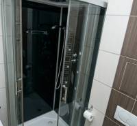 Bathroom with a shower and toilet in a studio apartment.