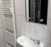 A bathroom with a sink, mirror, and ladder radiator suitable for a studio apartment.
