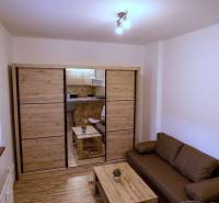 Studio apartment with wood-patterned flooring, a sofa, a table, and a wardrobe with sliding doors.