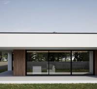 A family house in Nesvady with large glass doors and wooden wall cladding.