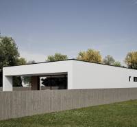 A modern family house in Nesvady with a simply designed white facade and green surroundings.