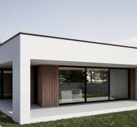 A family house in Nesvady with large windows and wooden cladding in the garden.