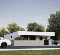 A family house in Nesvady with a flat roof, surrounded by greenery and parked cars.