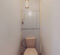 A toilet in a 2-room apartment with simple decor and white walls.