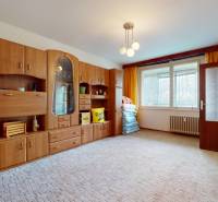 Living room in a two-room apartment with plenty of wooden storage furniture and a large window.