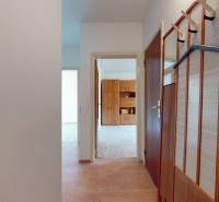 Entrance hallway in a 2-room apartment with a wall-mounted coat rack and a floor with a wooden decor.