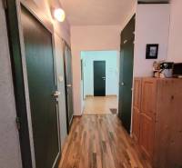 A hallway of a 2-room apartment with a wooden decor floor and a wooden wardrobe.