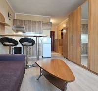 Studio apartment with a sofa, kitchenette, wood-patterned flooring, and built-in wardrobes.