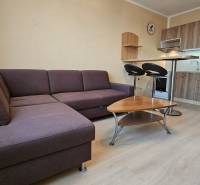 Studio apartment with a corner sofa, kitchen unit, and floor with a wood design.