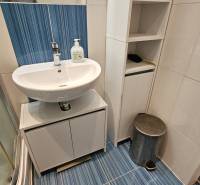 A bathroom in a studio apartment with a sink, cabinet, and trash can, blue tiles.