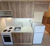 A kitchen in a studio apartment with a wooden decor floor and basic equipment.