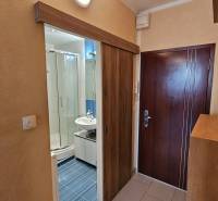 Studio apartment with bathroom access through sliding doors with a wood finish.