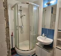 A bathroom with a corner shower, sink, and mirror, suitable for a studio apartment.