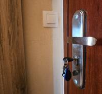 Wooden door in a studio apartment with a metal handle and a light switch.
