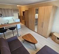 Studio apartment with a kitchenette, furniture, and flooring with a wood decor.