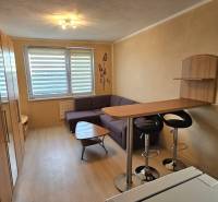 Studio apartment with wood-patterned flooring, a kitchen counter, and a sofa.