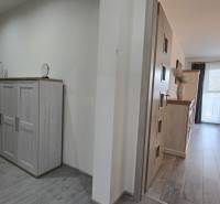 Entrance hall and living room in a two-room apartment with a wooden decor floor.