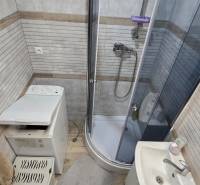 Bathroom with a shower and a sink in a 2-room apartment, floor with wood decor.