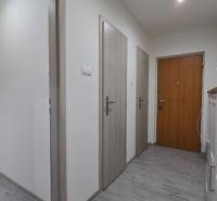 Entrance hall with wooden doors and furniture in a 2-room apartment, light flooring.