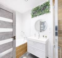 A bathroom in a 3-room apartment with a bathtub, mirror, and green decoration.