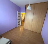 Purple walls, built-in wardrobe, and wooden decor flooring in a 3-room apartment.