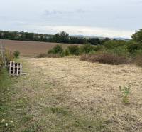 The gardens in Zvončín offer a view of the meadows and fields in the Zvončín area.