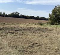 Fields and grass in the Gardens in Zvončín, near Zvončín, with a clear sky and trees.