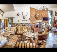 Living room in a holiday apartment with a fireplace, hunting trophies, and a wooden decor floor.