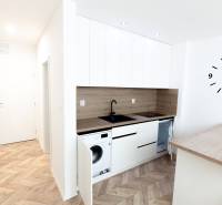 A modernly furnished kitchen with a wooden decor floor in a holiday apartment.