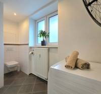Bathroom in a 2-room apartment with a bicycle on the wall, gray tiles, radiator, dishwasher.