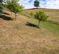 A sloped residential plot in Banská Belá with a lawn and a solitary tree.